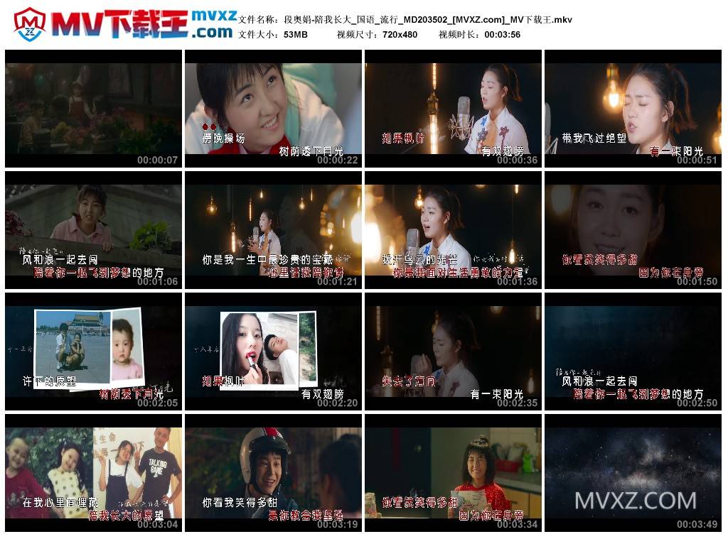 段奥娟-陪我长大_国语_流行_MD203502